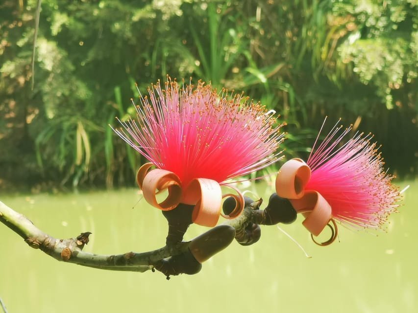 Puerto Plata: Taino Valley and Dominican Flavor Experience - Obrázek 3