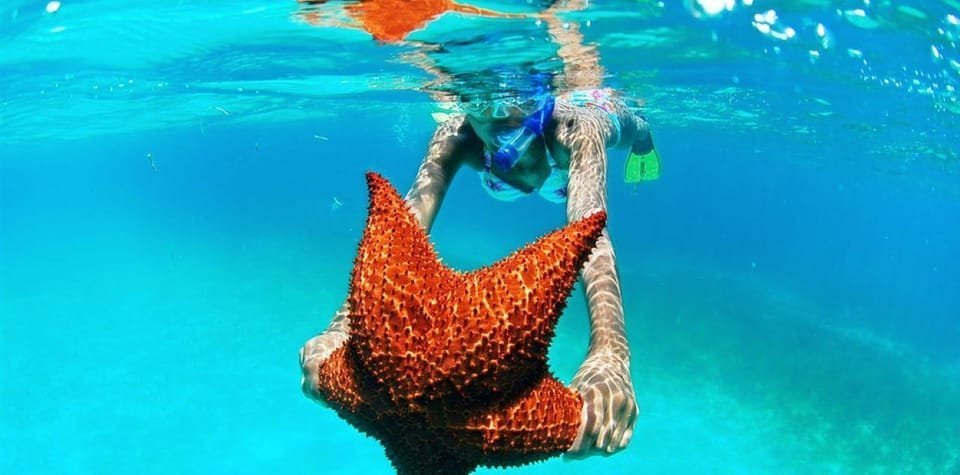 Punta Cana: Saona Island Day Trip with VIP Option - Obrázek 3