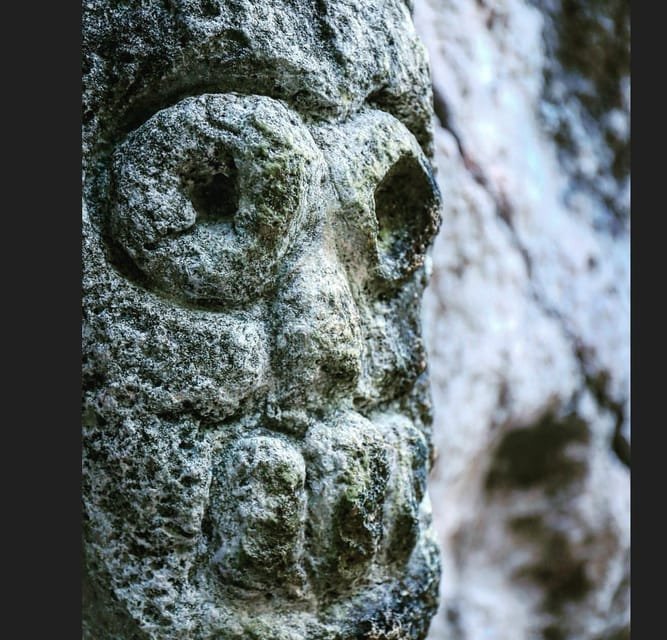 Las Terrenas: Just Los Haitises Boat and Walking Tour - Image 3