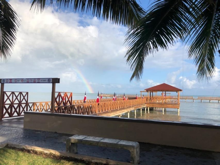 From Punta Cana: Whale Watching and Montana Redonda Tour - Obrázek 13