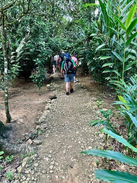 3in1: Los Haitises N P + Yanigua Waterfall + Montaña Redonda - Imatge 17