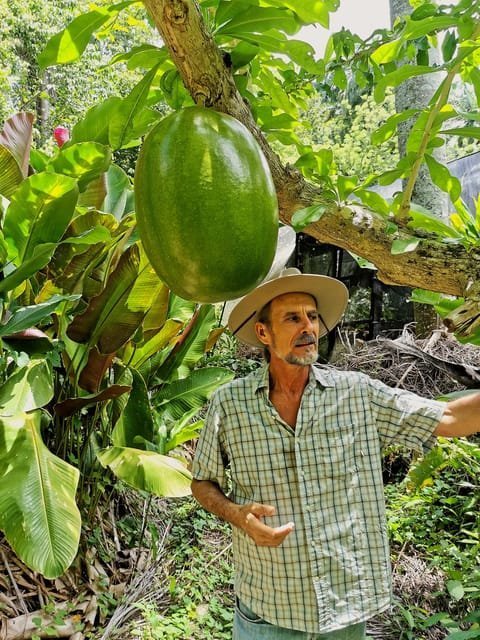 Puerto Plata: Taino Valley and Dominican Flavor Experience