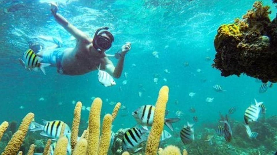 Punta Cana: Party Boat and Snorkeling Adventure - Obrázek 4