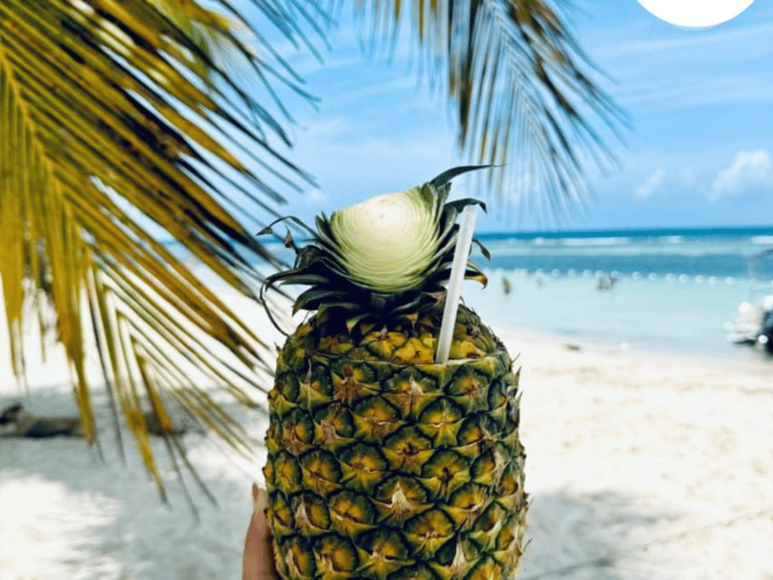 Punta Cana: Saona Island Catamaran Day Trip with Tickets and Lunch - Billede 3