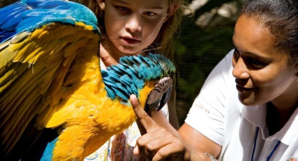 Day trip at Ocean World for Dominican Residents - Image 4