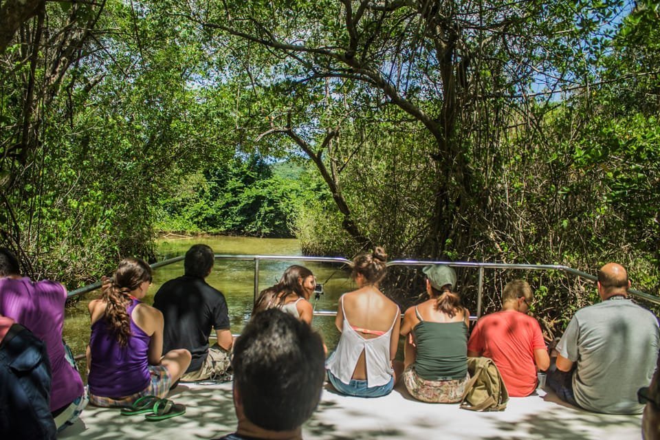 3in1: Los Haitises N P + Yanigua Waterfall + Montaña Redonda - Imatge 24