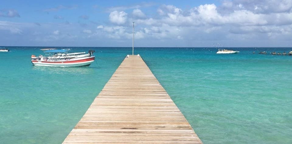 Punta Cana: Saona Island Day Trip with VIP Option - Obrázek 5