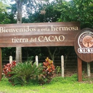 Cocoa Trail & Making of Chocolate Tour from Santo Domingo