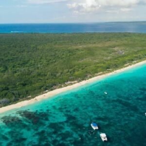 Punta Cana: Catalina Island Scuba Diving Day Trip