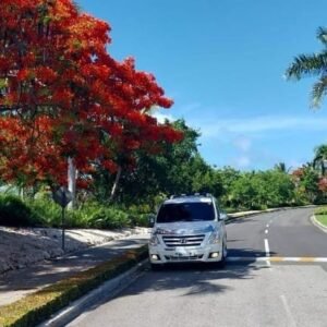 Private Transfer Iberostar La Hacienda to Punta Cana Airport