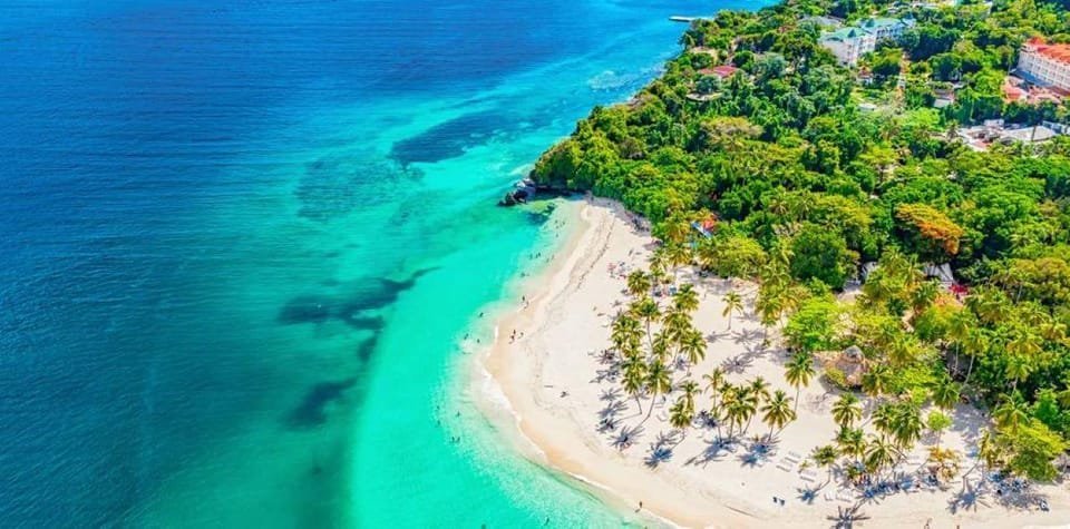 Bayahibe: Samaná and Miches Whale Watching Day Trip - Image 2