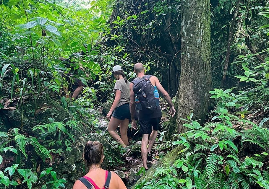 Tour TODO INCLUIDO en Sendero Acuático Cueva de la Virgen - Image 2