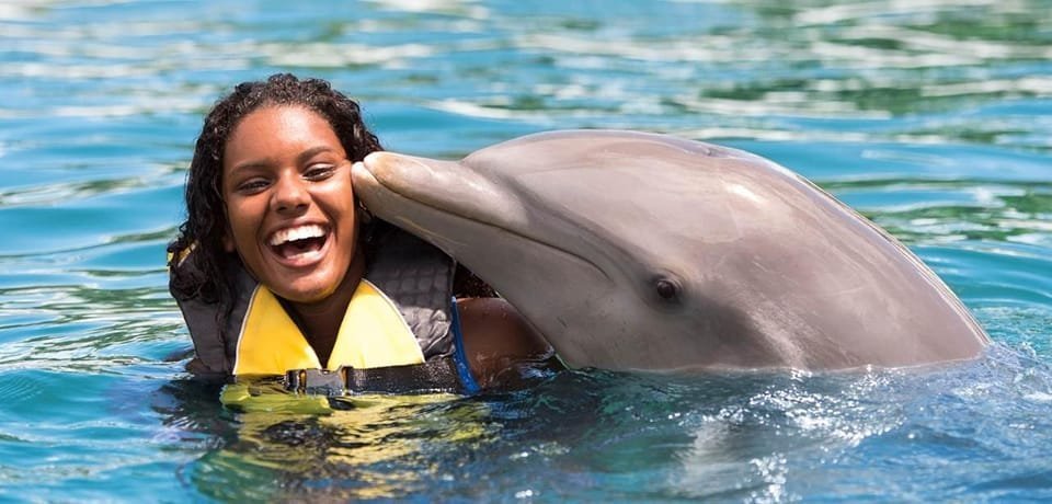 Dolphin Encounter for Dominican Residents - Image 6