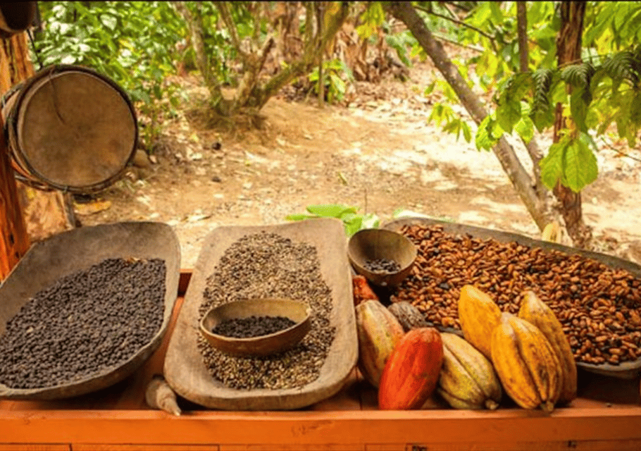 Punta Cana: Buggy Excursions with Hotel Pickup and Adventure - Obrázek 5