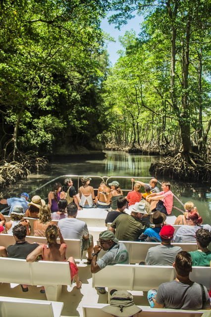 3in1: Los Haitises N P + Yanigua Waterfall + Montaña Redonda - Imatge 49