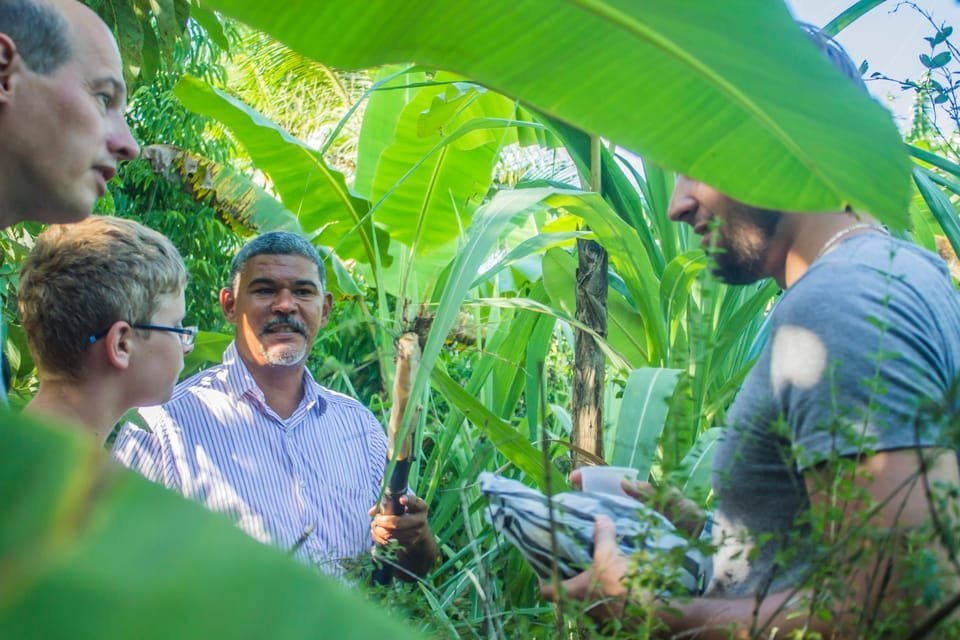 3in1: Los Haitises N P + Yanigua Waterfall + Montaña Redonda - Imatge 51