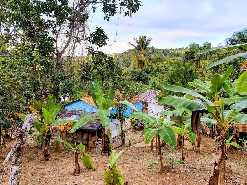 Puerto Plata Trekking - Experience of Nature and Folklore - Obrázek 6