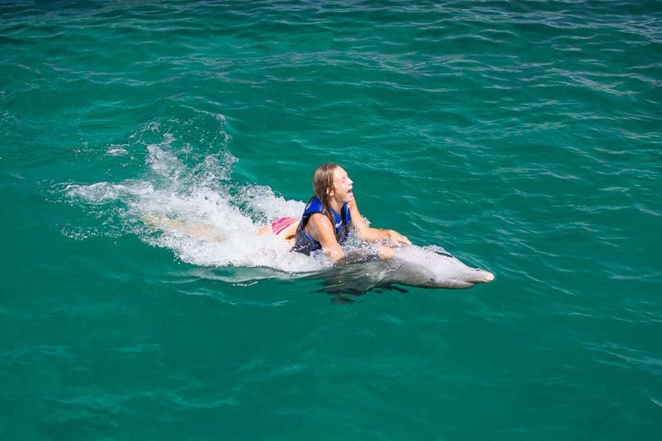 Punta Cana: Dolphin Explorer Swims and Interactions - Image 7