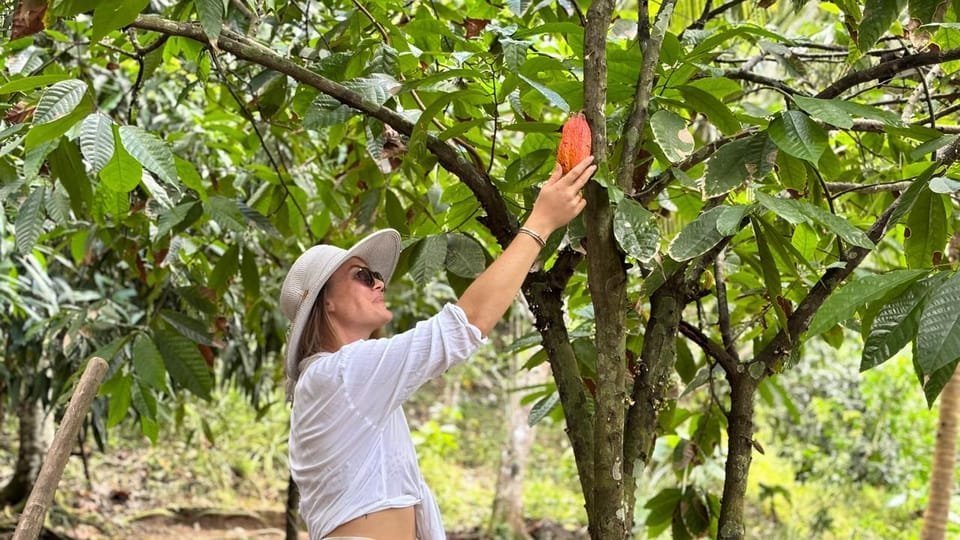 Jungle Eco Tour - Obrázek 7