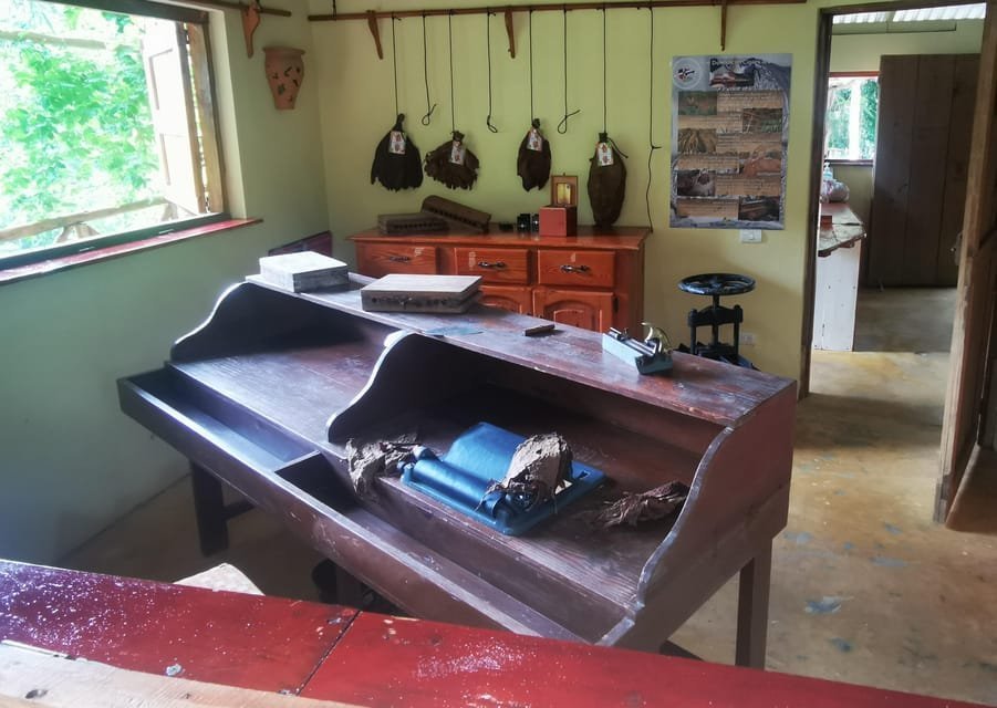 Puerto Plata: Taino Valley and Dominican Flavor Experience - Obrázek 8