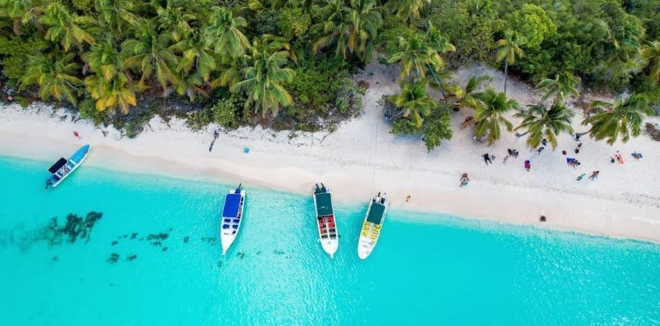 Punta Cana: Saona Island Day Trip with VIP Option - Obrázek 8