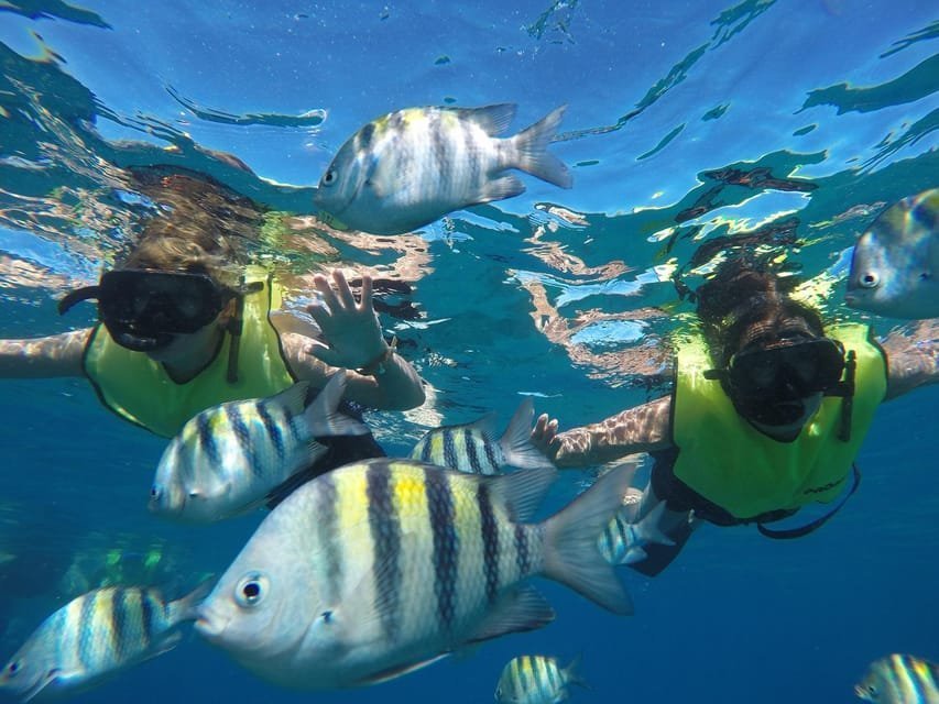Puerto Plata: Catamaran Snorkeling Trip with Buffet - Image 9