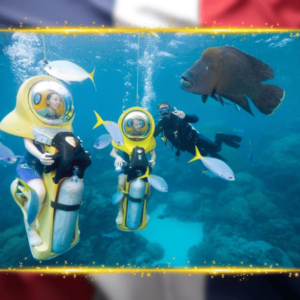 Punta Cana: Scubadoo Explore The Ocean