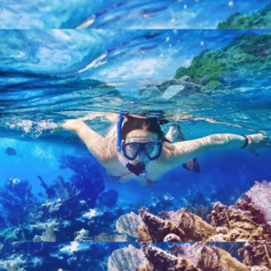 Party Boat + Snorkeling For Small Group Half Day Tour