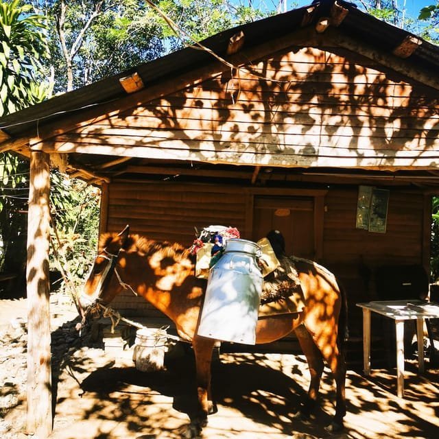 Puerto Plata Trekking - Experience of Nature and Folklore - Obrázek 10