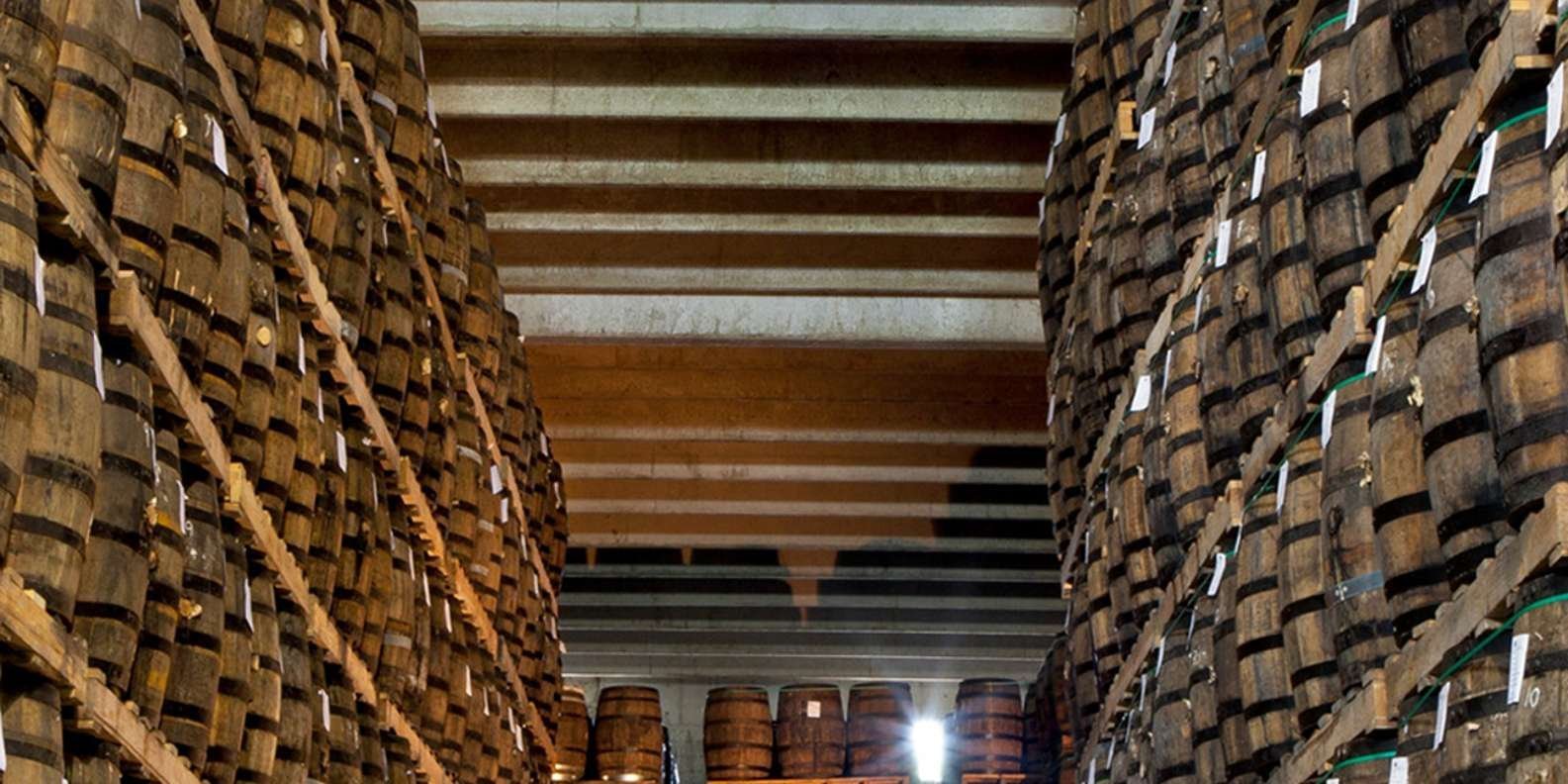 Punta Cana: Dominican Flavors Guided Day Trip - Image 2