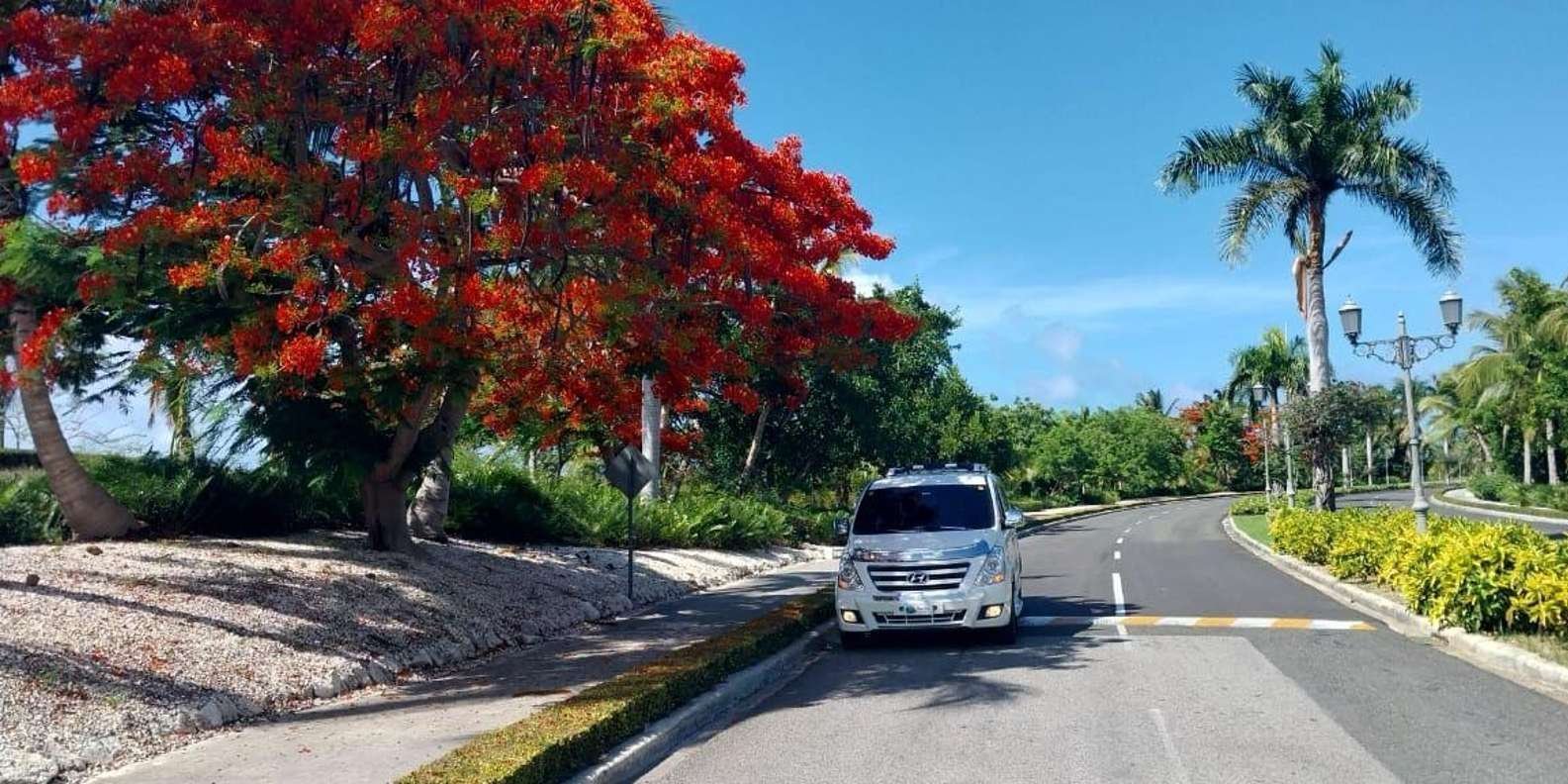 Private Transfert Bahia P. Bavaro to Punta Cana Airport - Obrázek 2