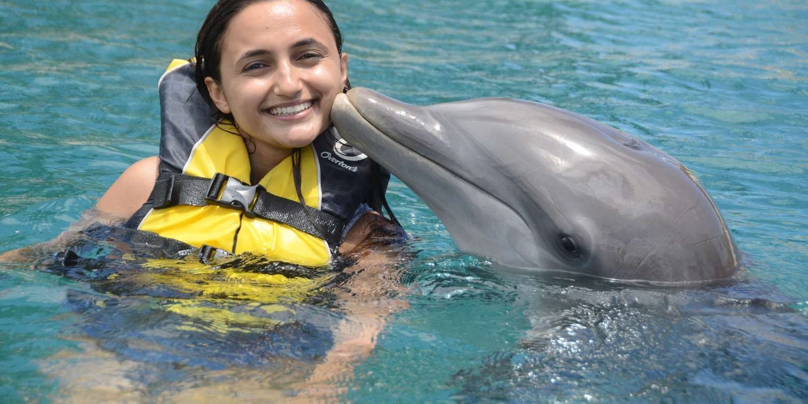 Ocean World Dolphin Swim & Sea Lion Combo from Puerto Plata - Image 2