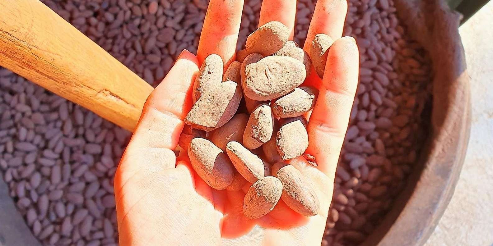 From Puerto Plata Priv: Cocoa, Coffee, Cigars & Local Market - Obrázek 2