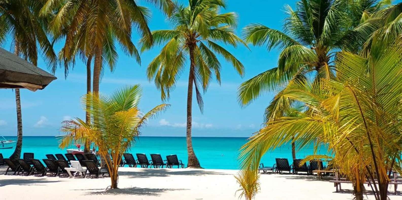 Full-Day Saona Island Tour by Speedboat - Obrázek 2