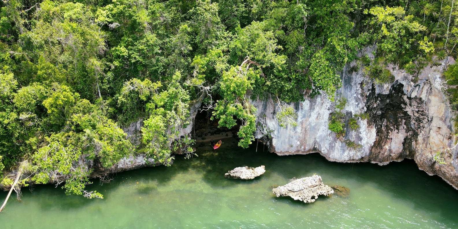 Los Haitises: Boat Excursion and Walking Tour with Lunch - Image 12