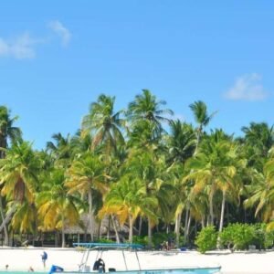 Full-Day Saona Island Tour by Speedboat