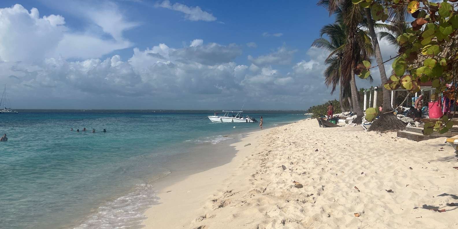 From Punta Cana: Small Group Catalina Island Snorkeling Tour - Obrázek 13