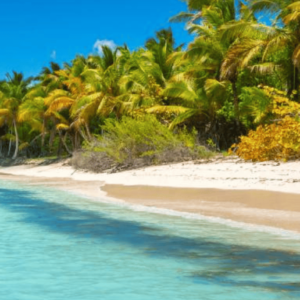 Explore Saona Island: Catamaran Tour from Punta Cana