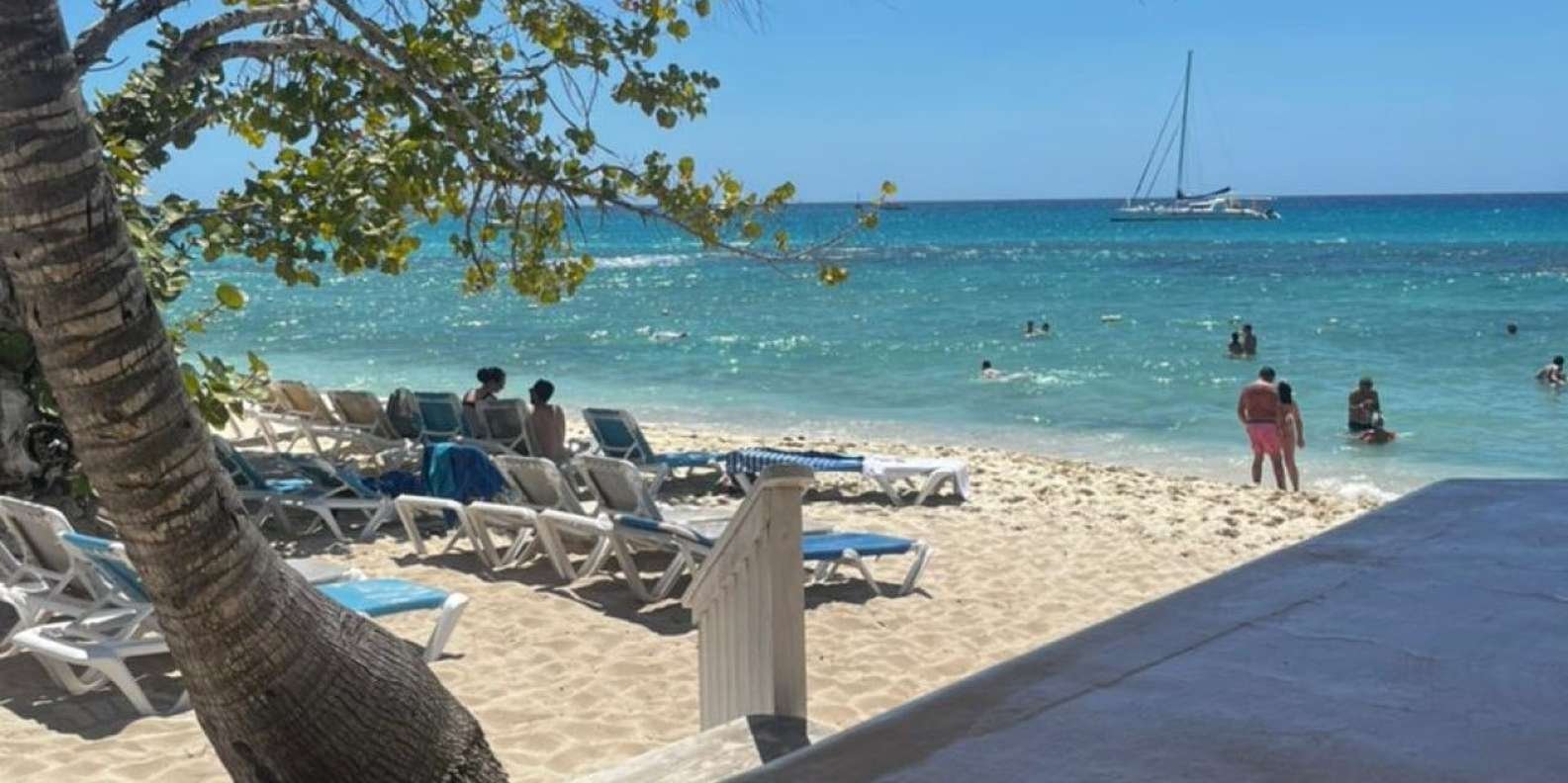 From Punta Cana: Small Group Catalina Island Snorkeling Tour - Obrázek 15