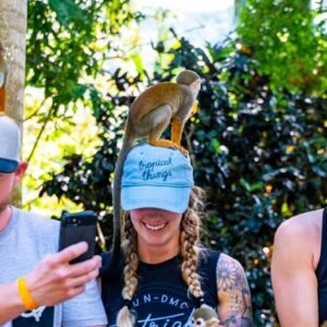 Puerto Plata: Monkeyland and Zip-Line Adventure