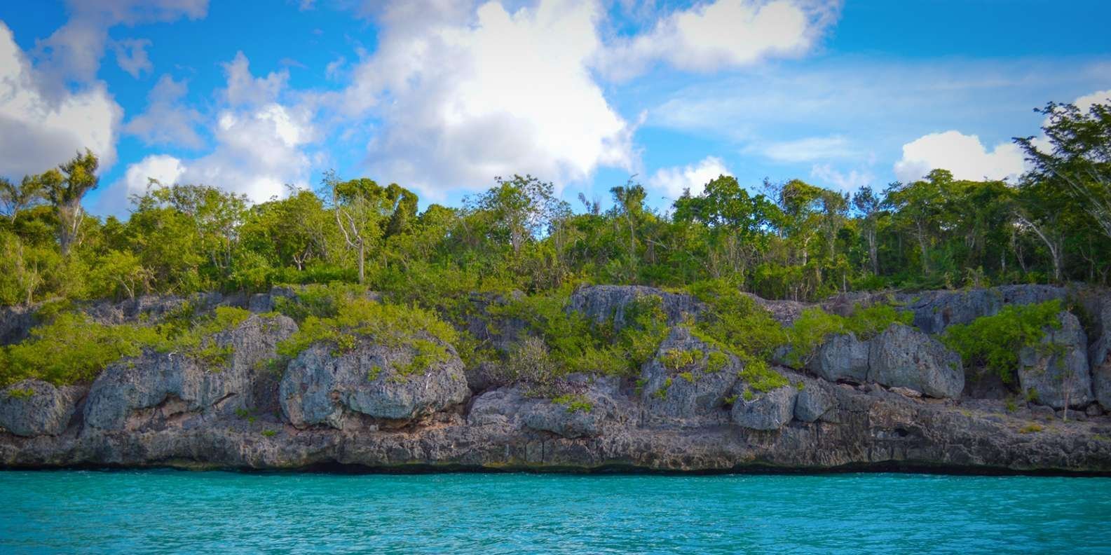 Punta Cana: Saona Island Full Day With Catamaran and Buffet - Image 4