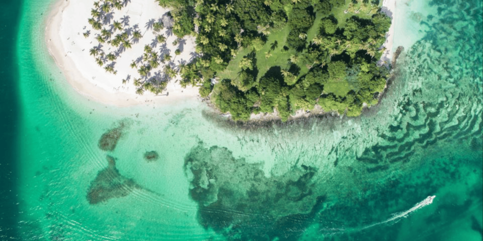 Whale Watching + Cayo Levantado - Obrázek 5