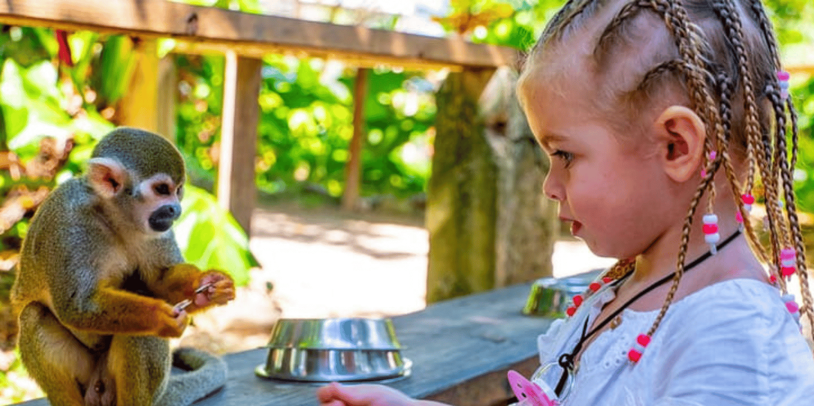 Punta Cana: Half-day tour Monkey Land Safari Tour - Obrázek 3