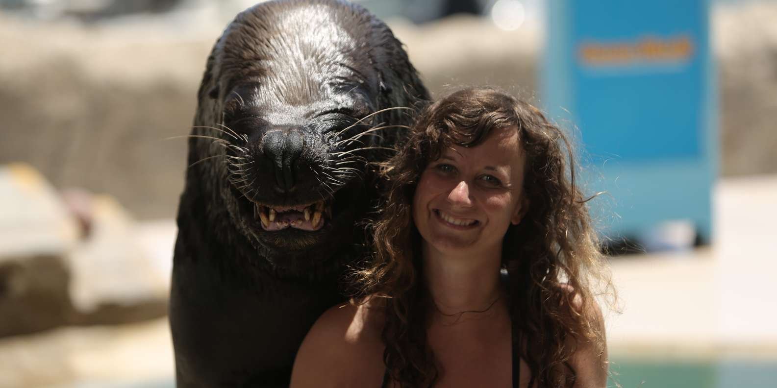 Ocean World Dolphin Swim & Sea Lion Combo from Puerto Plata - Image 4
