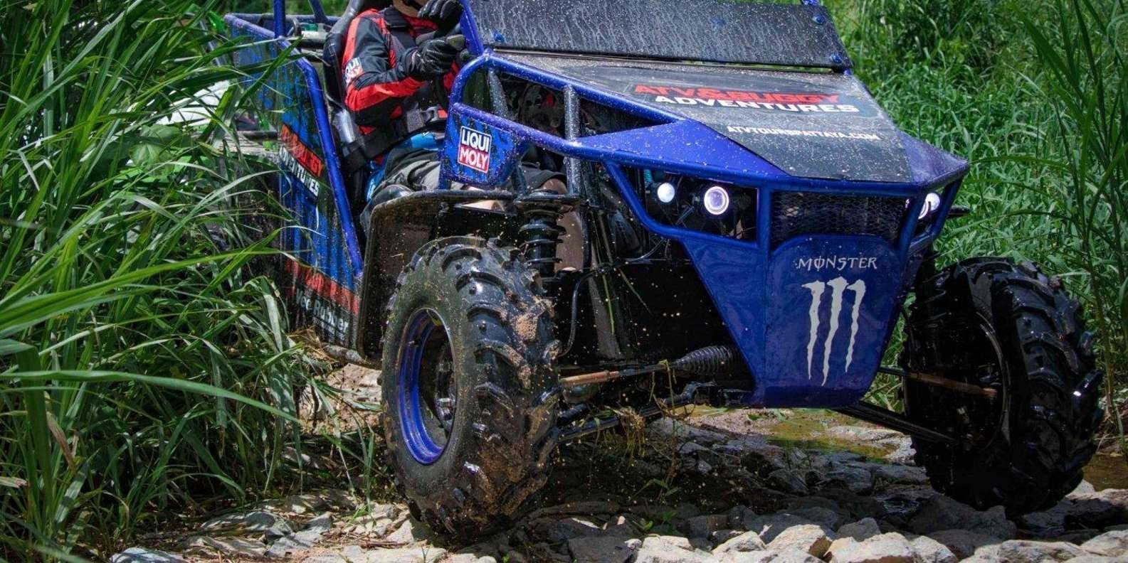 Shore Excursion Cruise ship Waterfalls y Buggys - Image 4