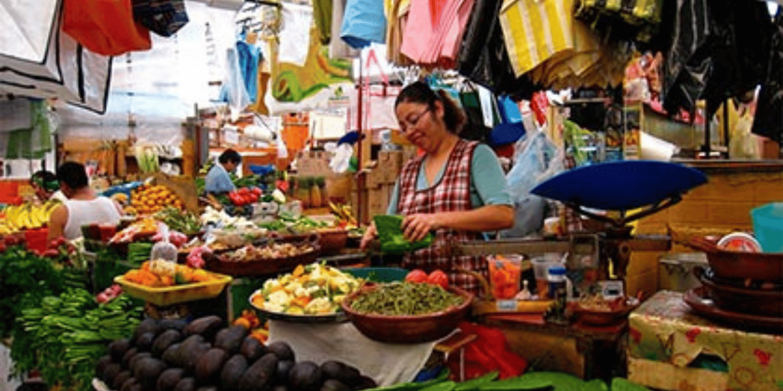 Half Day City Tours Be Dominican For One Day - Obrázek 4