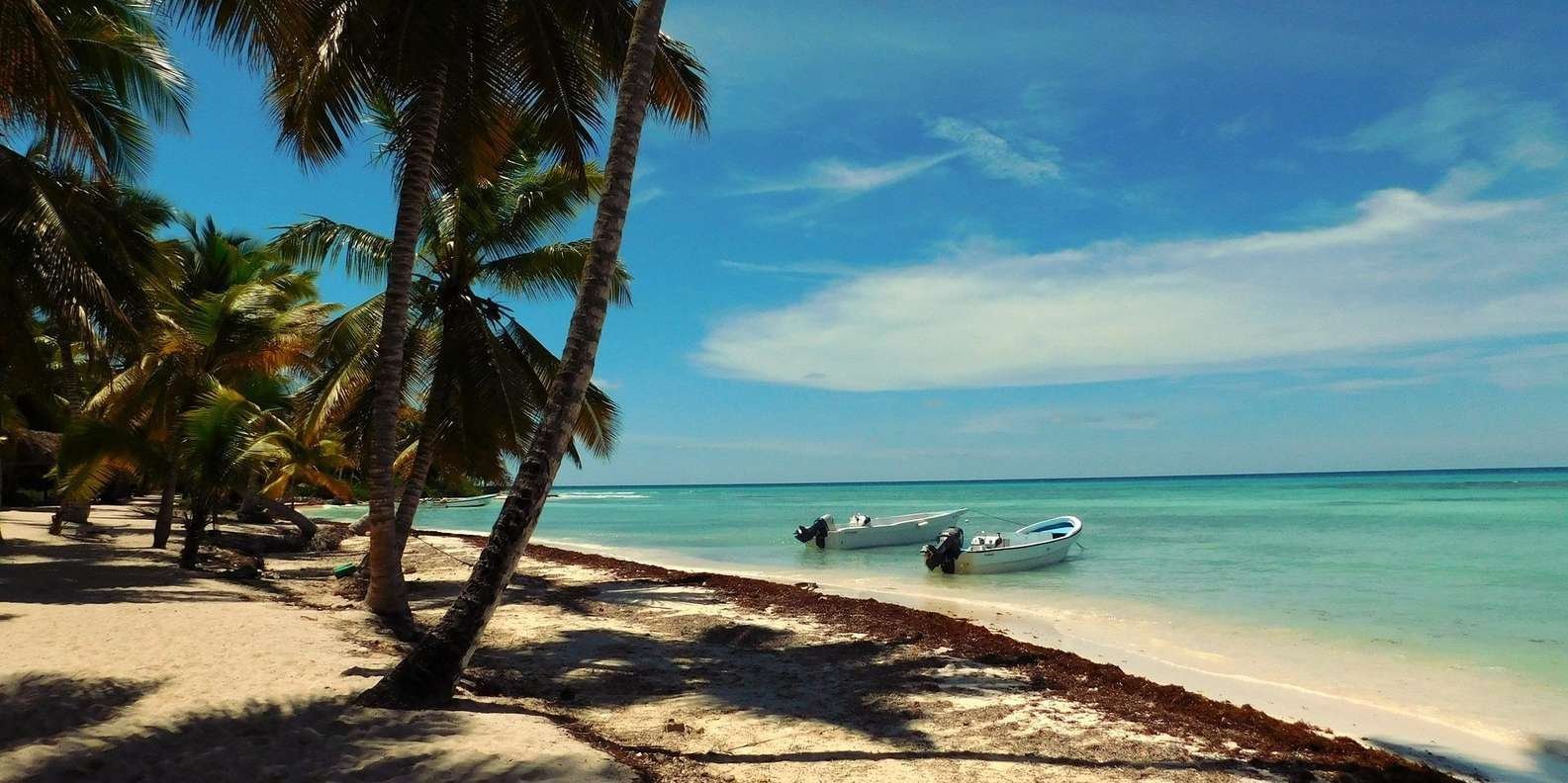 Full-Day Saona Island Tour by Speedboat - Obrázek 4