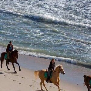 Puerto Plata: 2-Hour Horseback Ride on the Beach