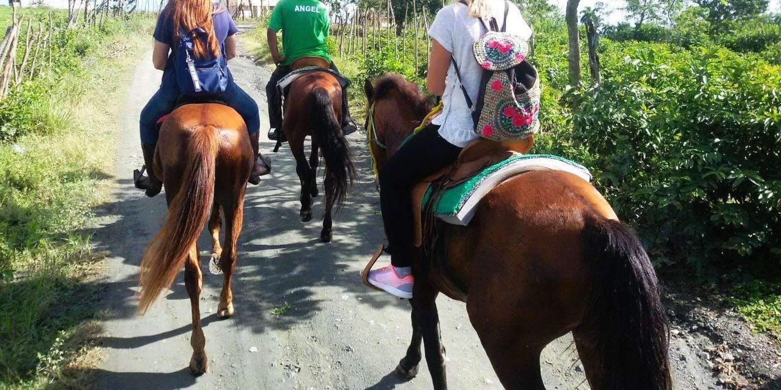 From Puerto Plata: Horseback ride along the mountain river - Obrázek 5