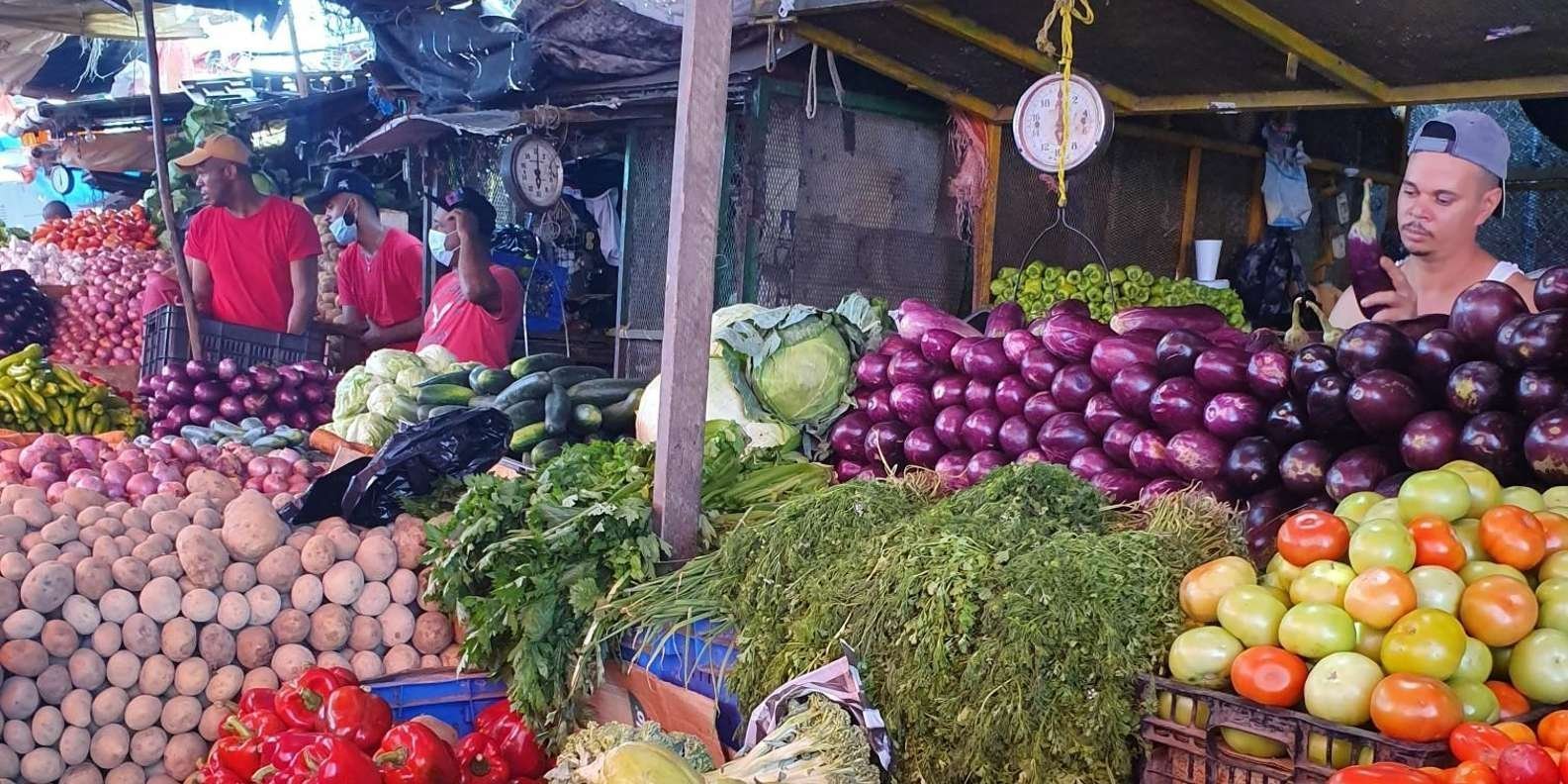From Puerto Plata Priv: Cocoa, Coffee, Cigars & Local Market - Obrázek 5